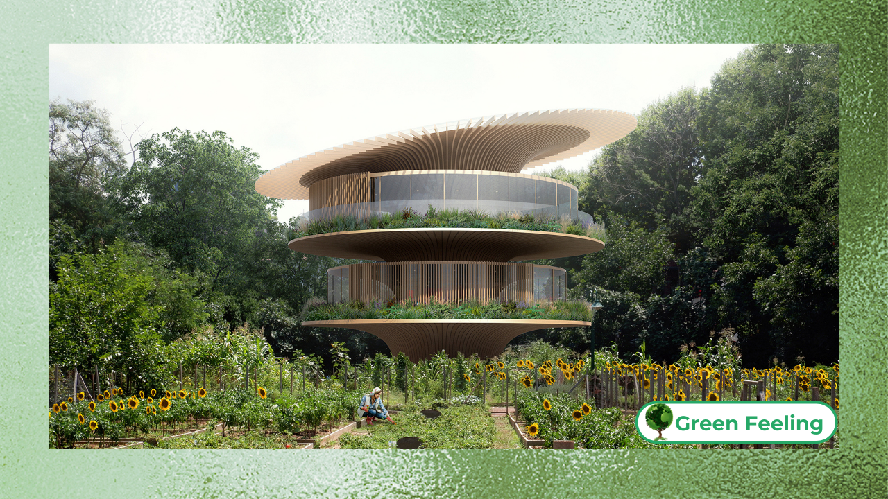 Nature and Design: Biophilic Architecture and Its Practical Applications