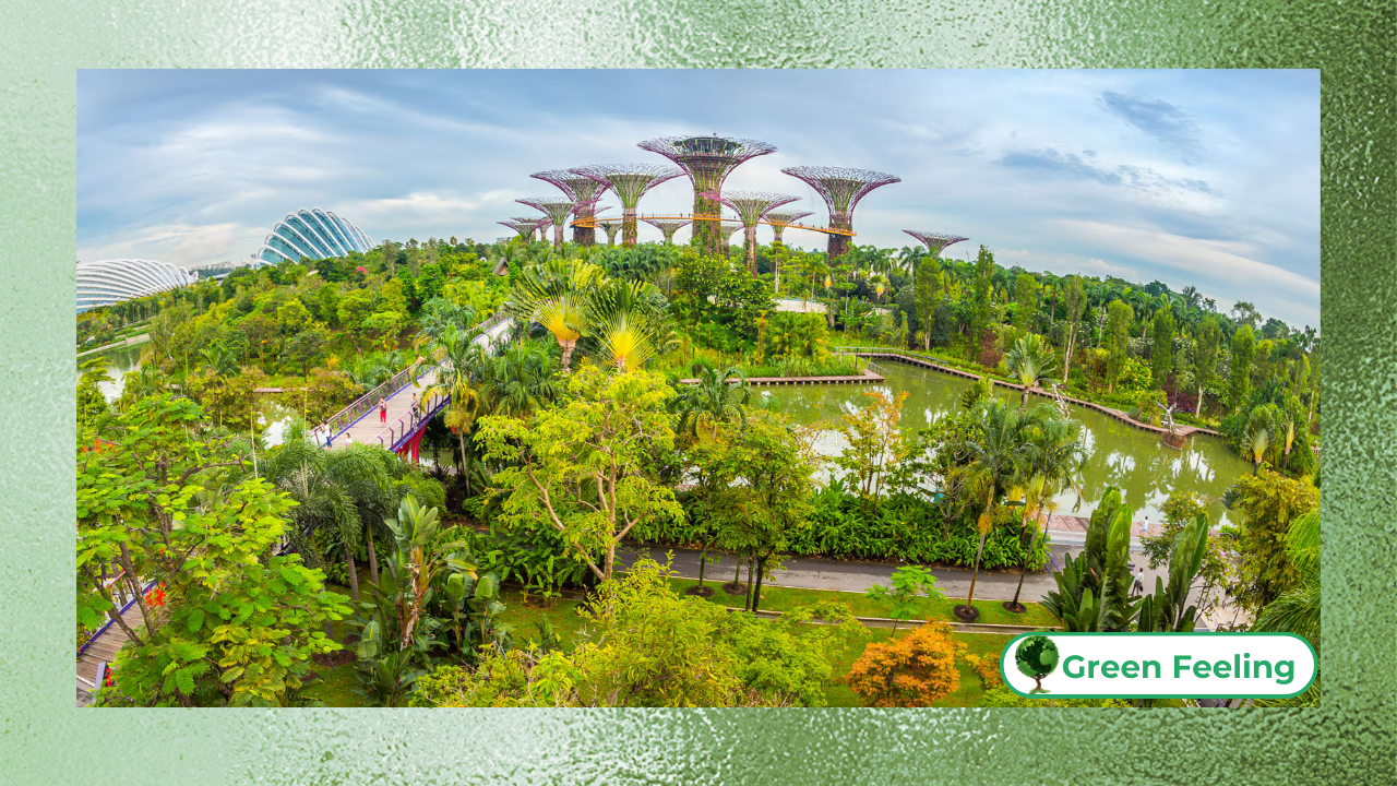 What Is Urban Greening? Discover the cities of the future